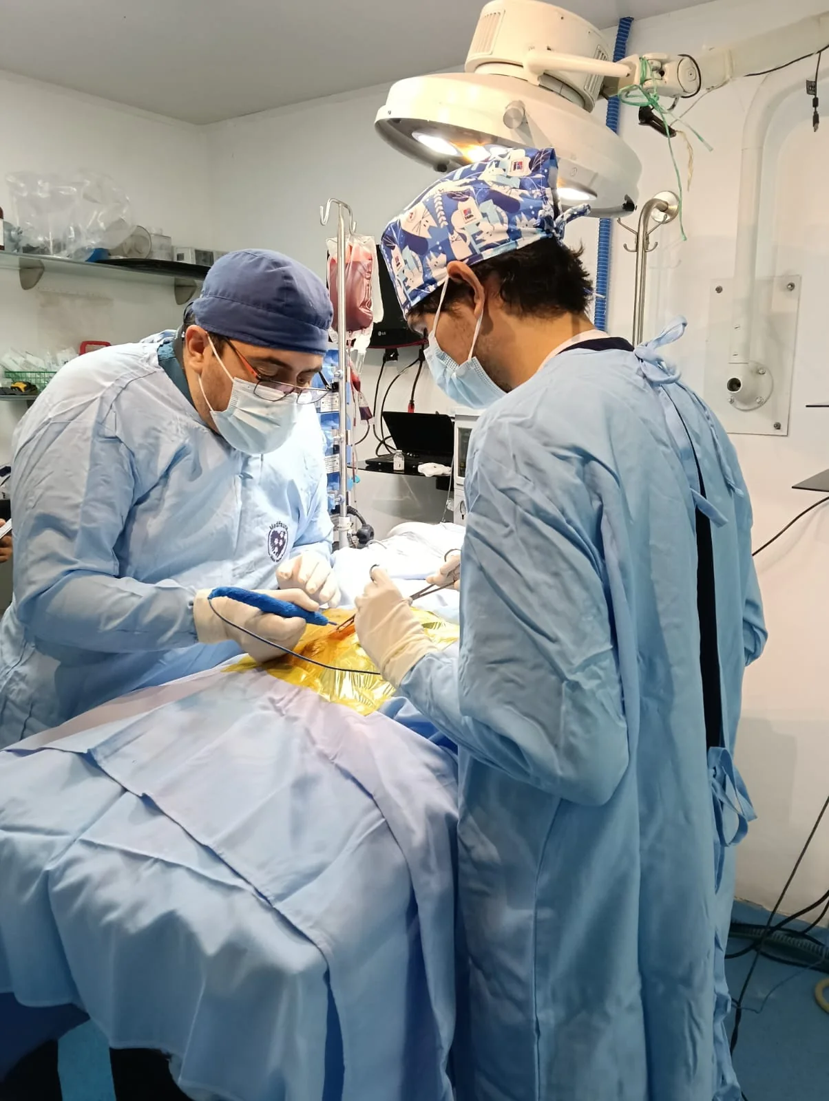 Veterinarios realizando una cirugía en quirófano