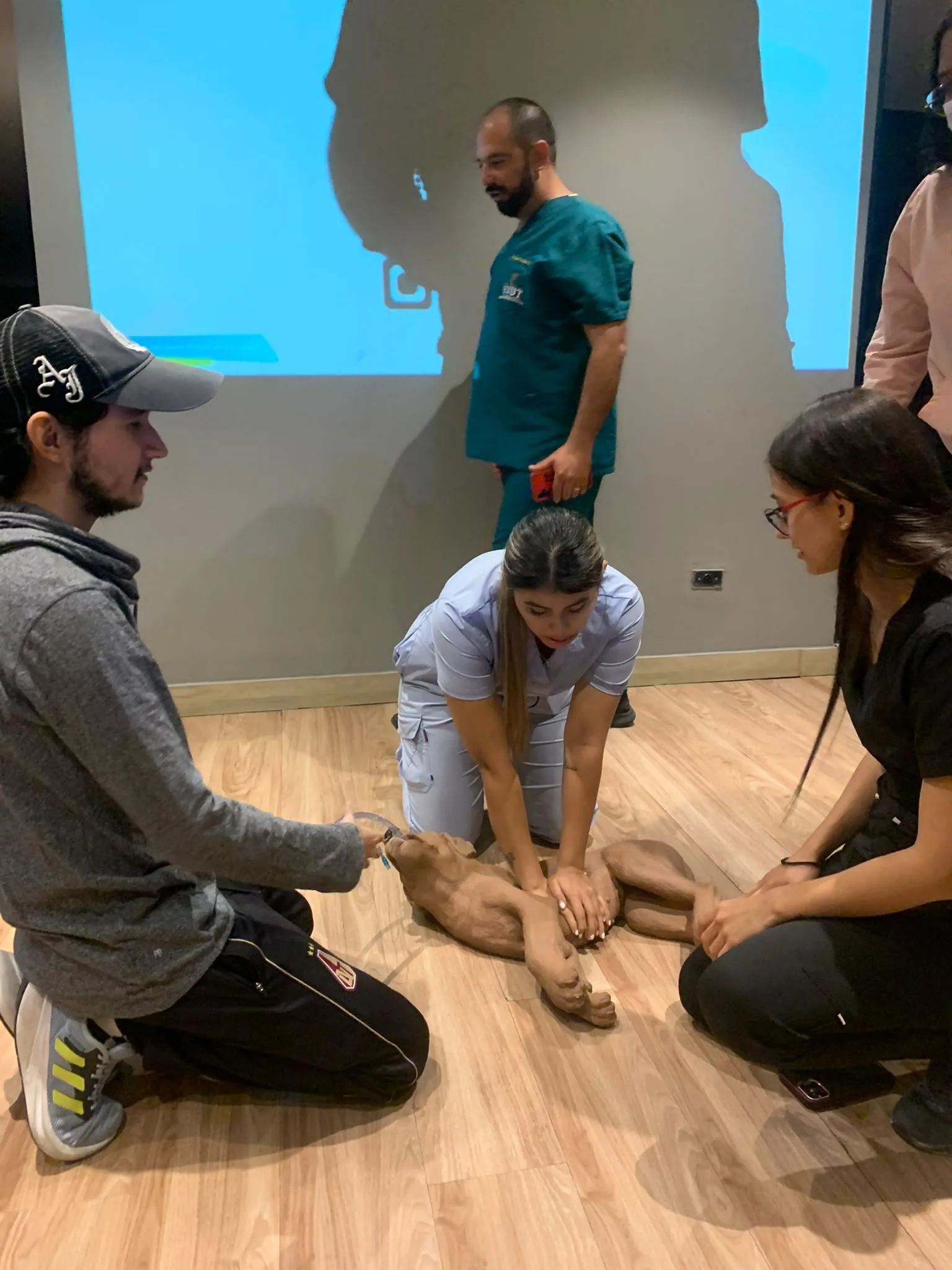Capacitación práctica de primeros auxilios veterinarios