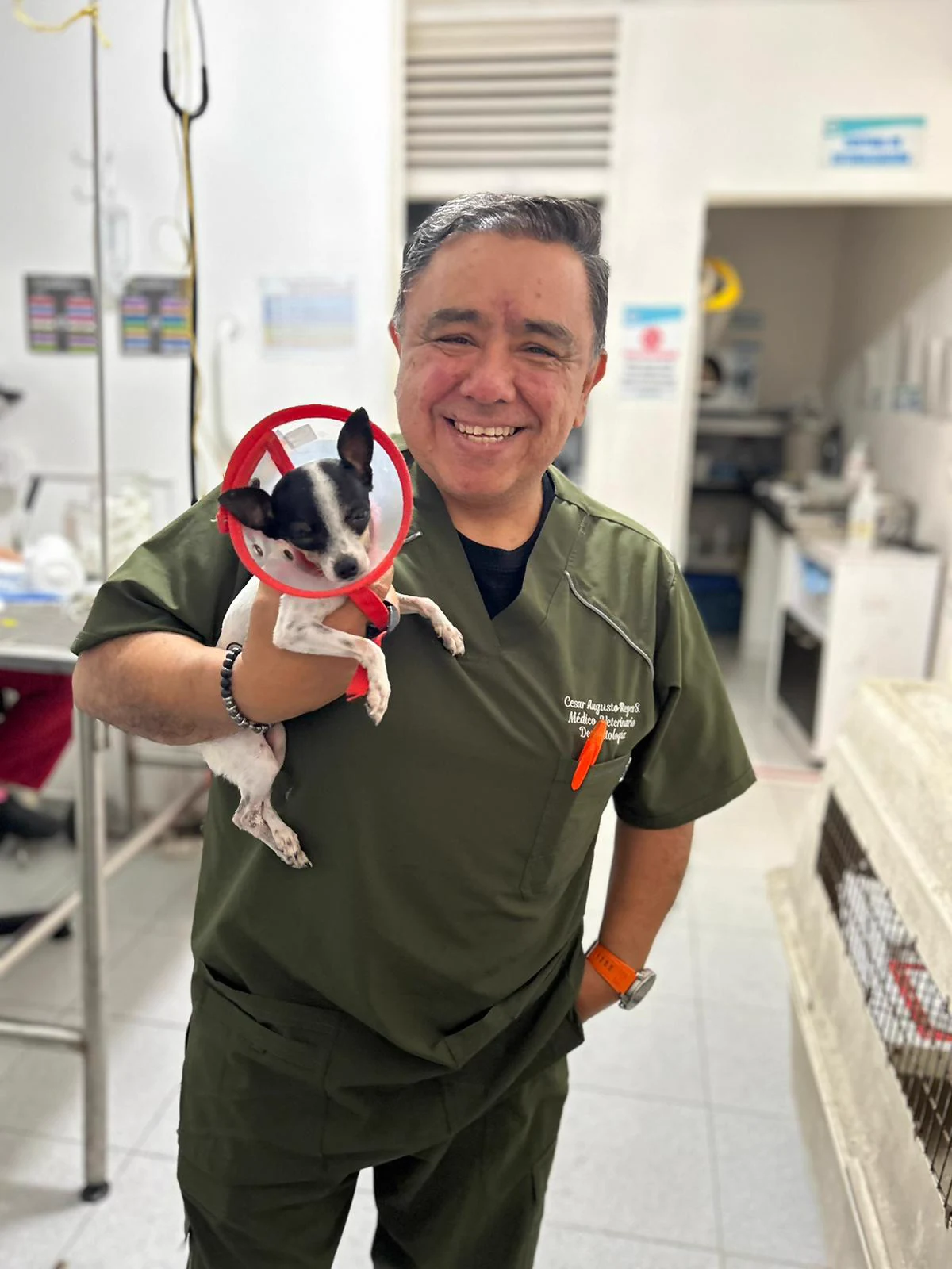 Médico veterinario en consulta con un paciente canino