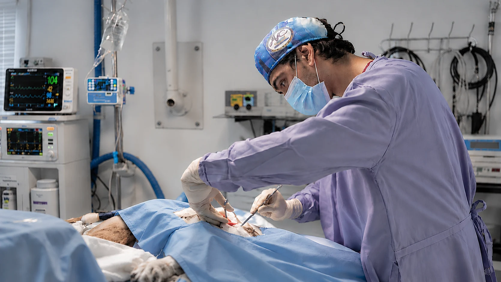 Médico veterinario especialista atendiendo a un paciente en quirófano